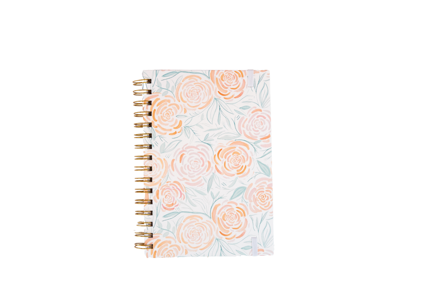 Lynn Lilly- Notebook